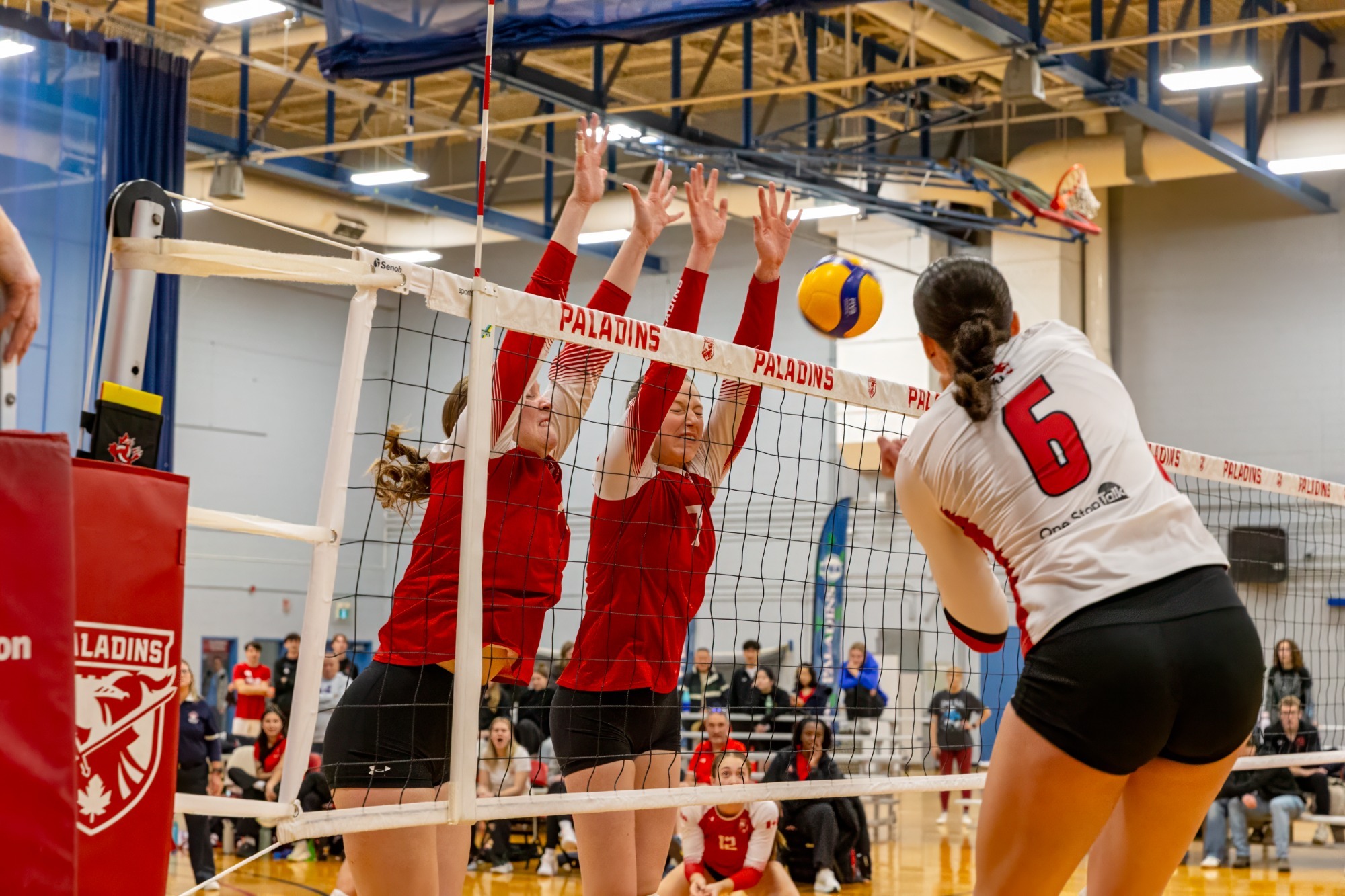 Coming off a 3-1 win over the RMC Paladins last night, the York University Lions women’s volleyball team looked to repeat those results in a rematch Saturday afternoon in Kingston.
