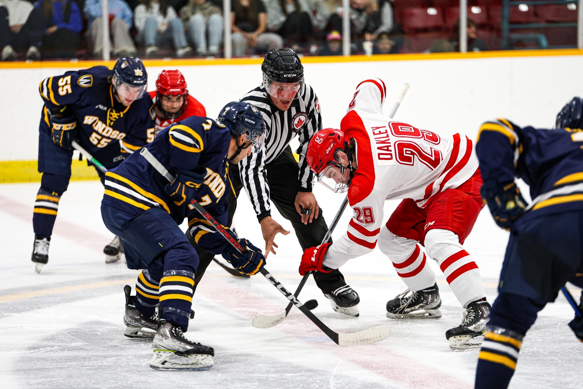 The York University Lions men’s hockey team is headed to Windsor for a matchup against the Windsor Lancers