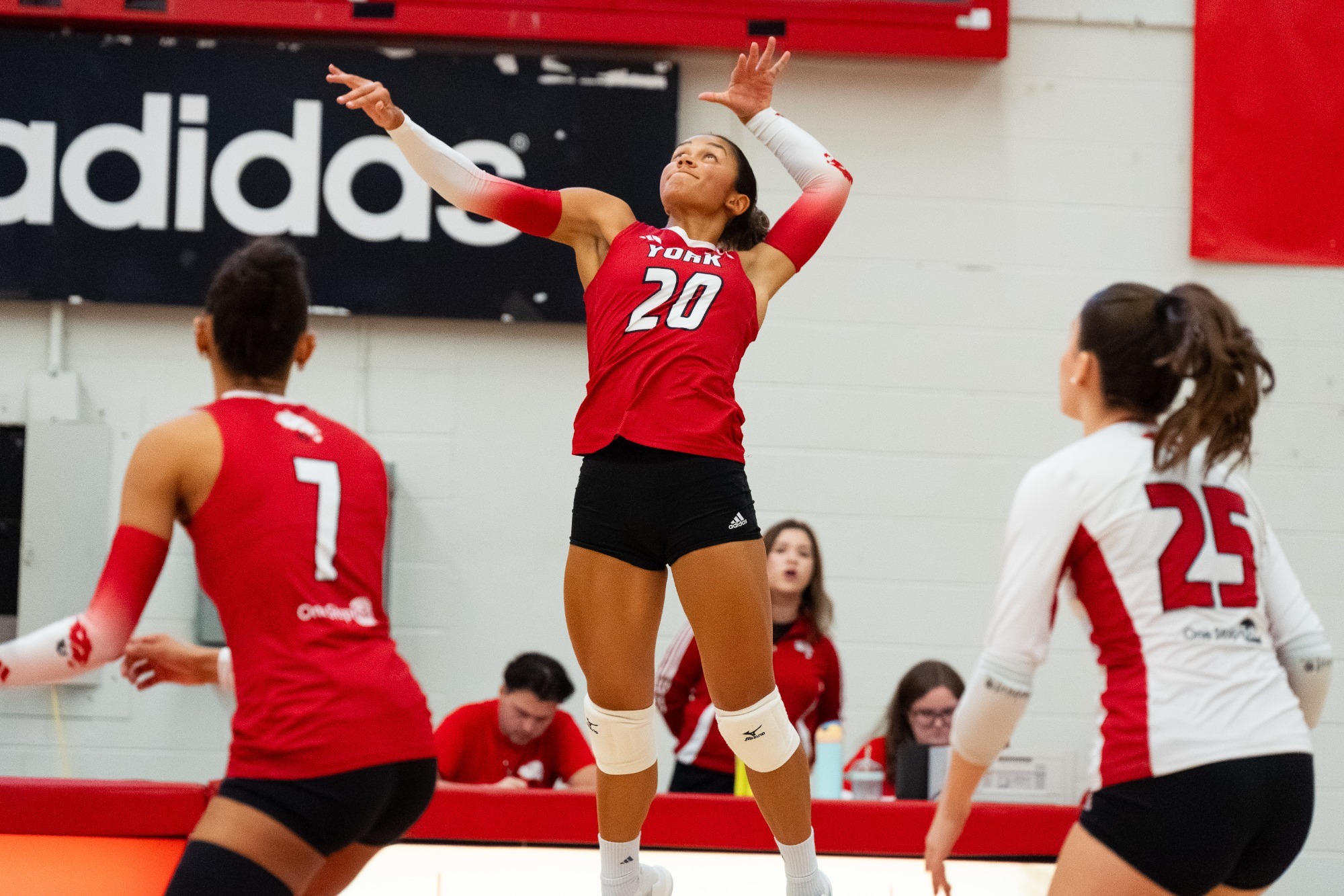 The York University Lions women’s volleyball team finally returned home for the first time in almost two months, as they hosted the Trent Excalibur on a snowy Friday night at the Tait McKenzie Centre.