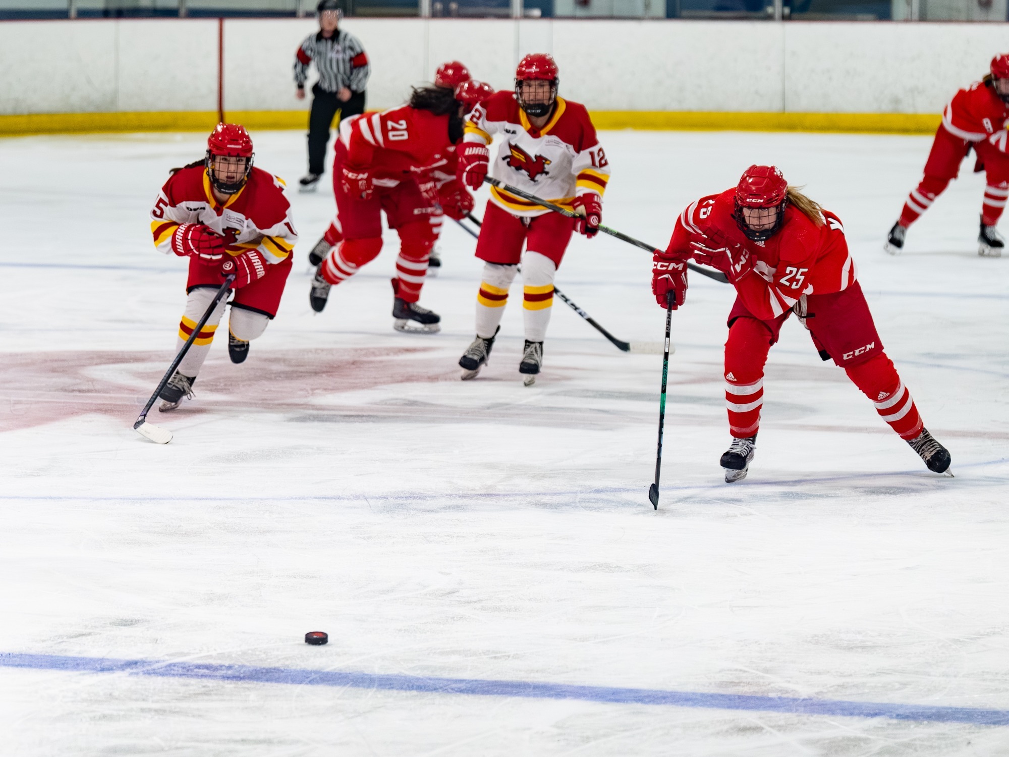 The York University Lions women’s hockey team went head-to-head with the Guelph Gryphons at Canlan Ice Sports on Friday evening