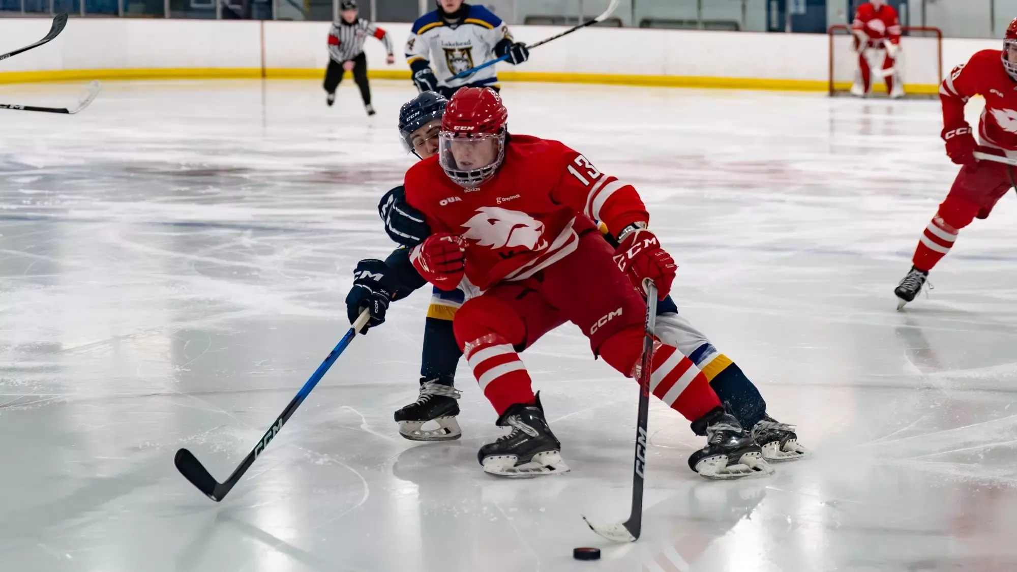 Matt Tovell made 30 saves for his first career OUA shoutout and Harry Clark (pictured) had his third multi-goal game of the season as the the York University Lions men’s hockey team downed the Lakehead Thunderwolves on Friday night