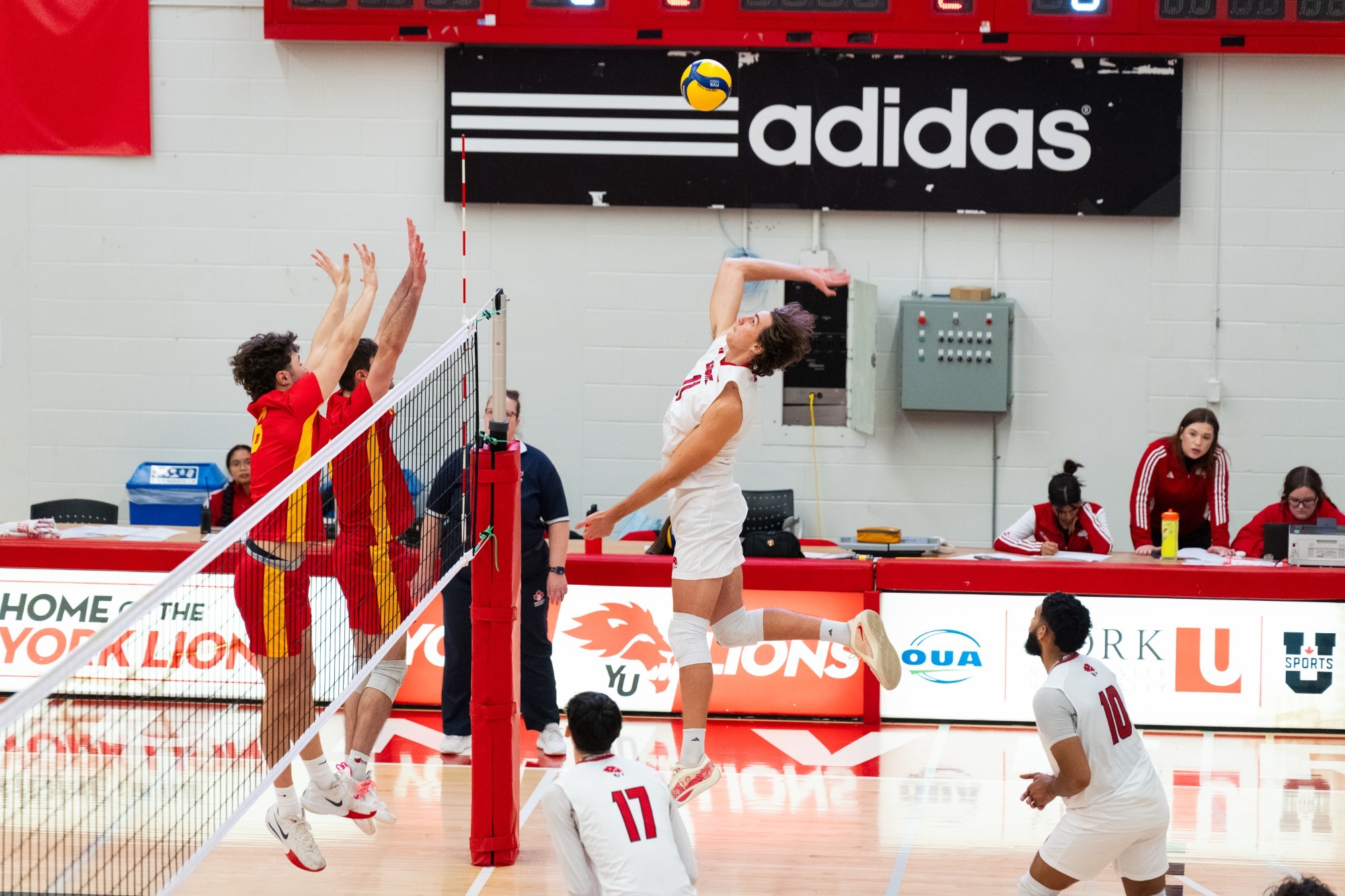 The York University Lions men’s volleyball team hosted the Guelph Gryphons on Sunday afternoon in the fourth match of a six-game homestand. 