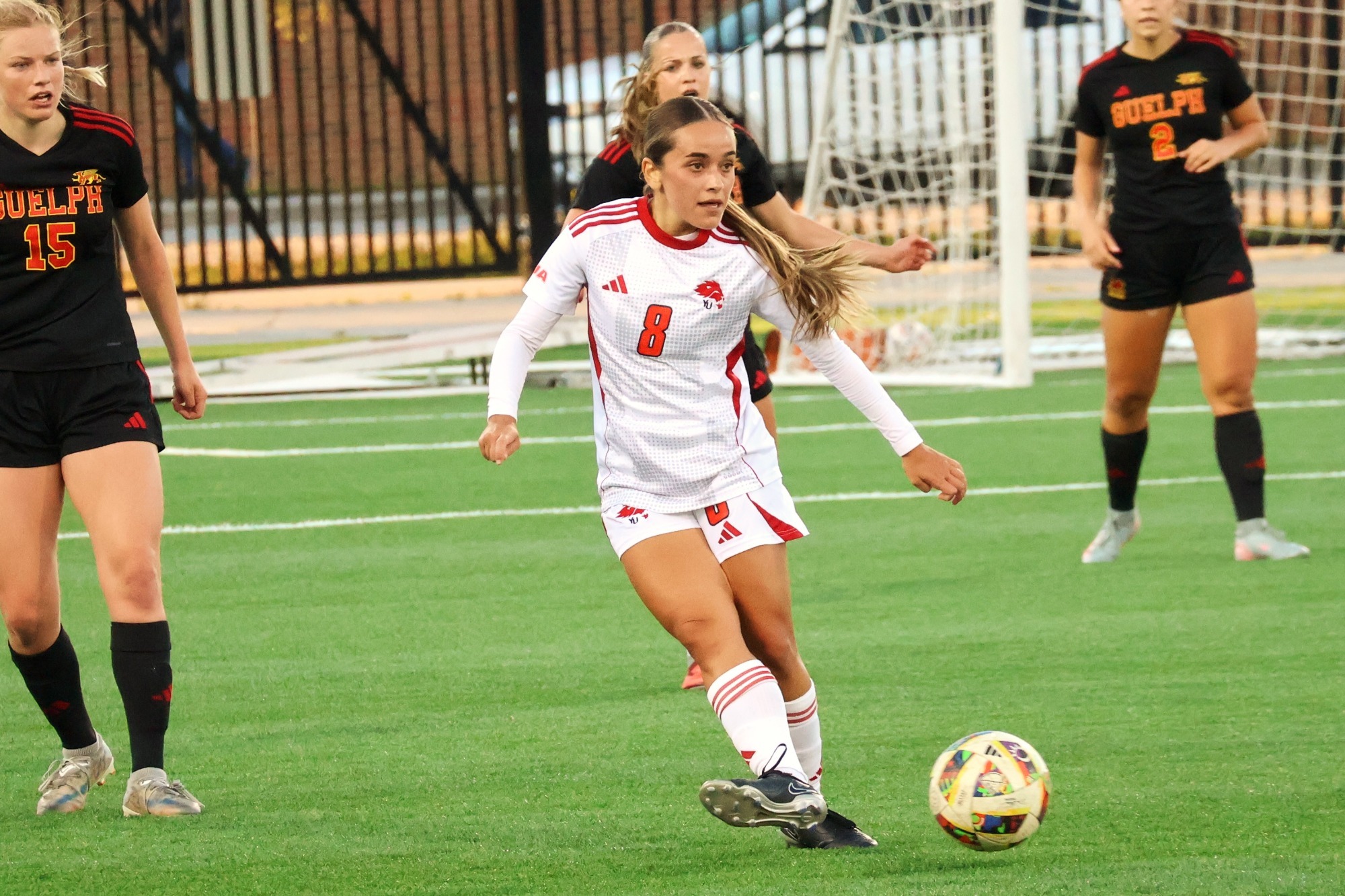The York University Lions women's soccer team fought hard on home turf against the undefeated Guelph Gryphons on Friday night.