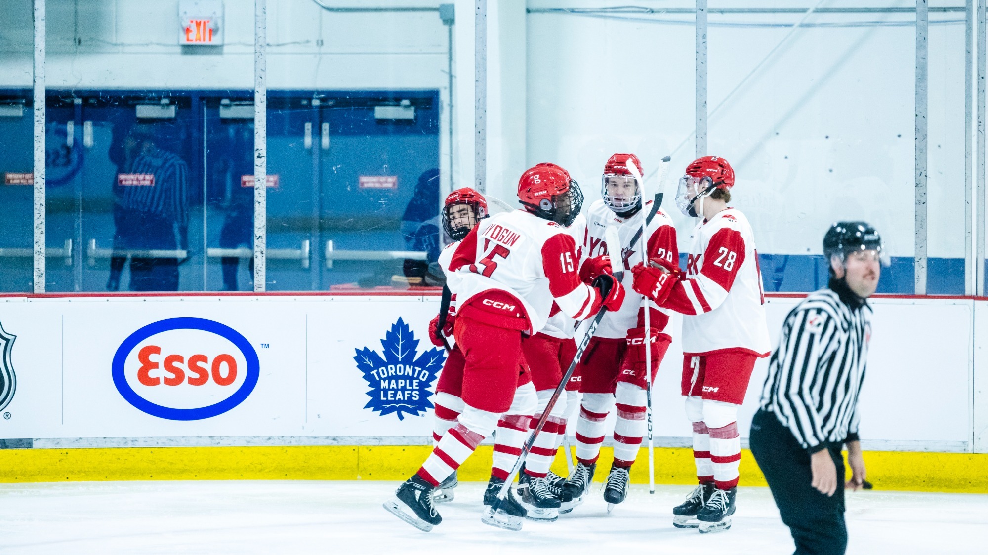 The York University Lions men's hockey team hosted the Laurier Golden Hawks on Saturday night at Canlan Ice Sports.