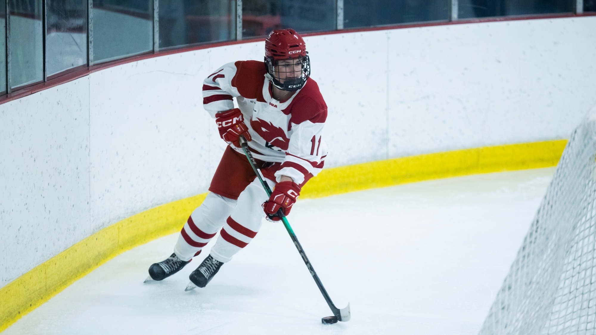 The York University Lions women’s hockey team finished their two-game Waterloo road trip on Saturday night against the Laurier Golden Hawks.