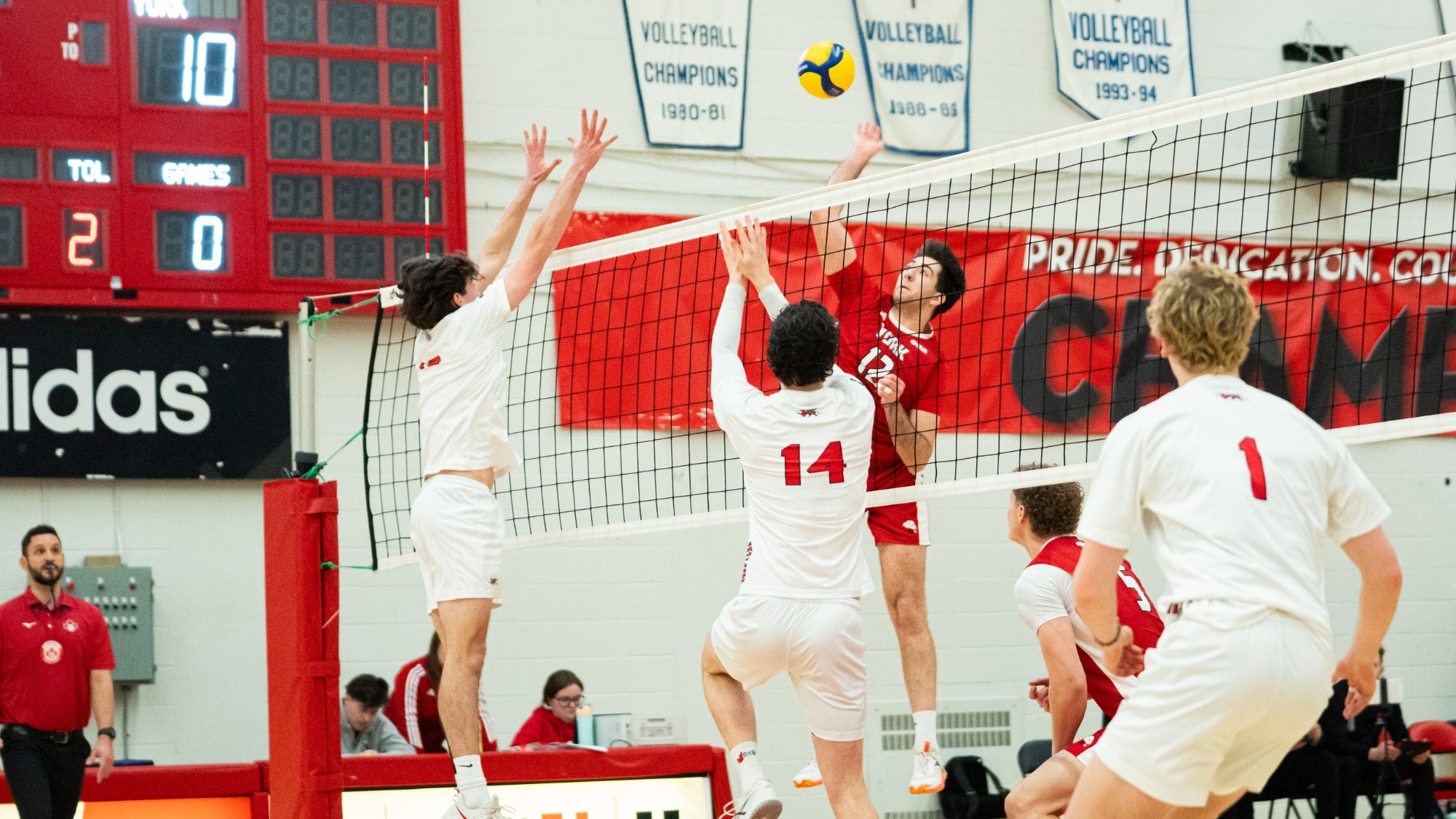 Dennis Cota (#12) vs. Guelph – Jan. 24, 2026