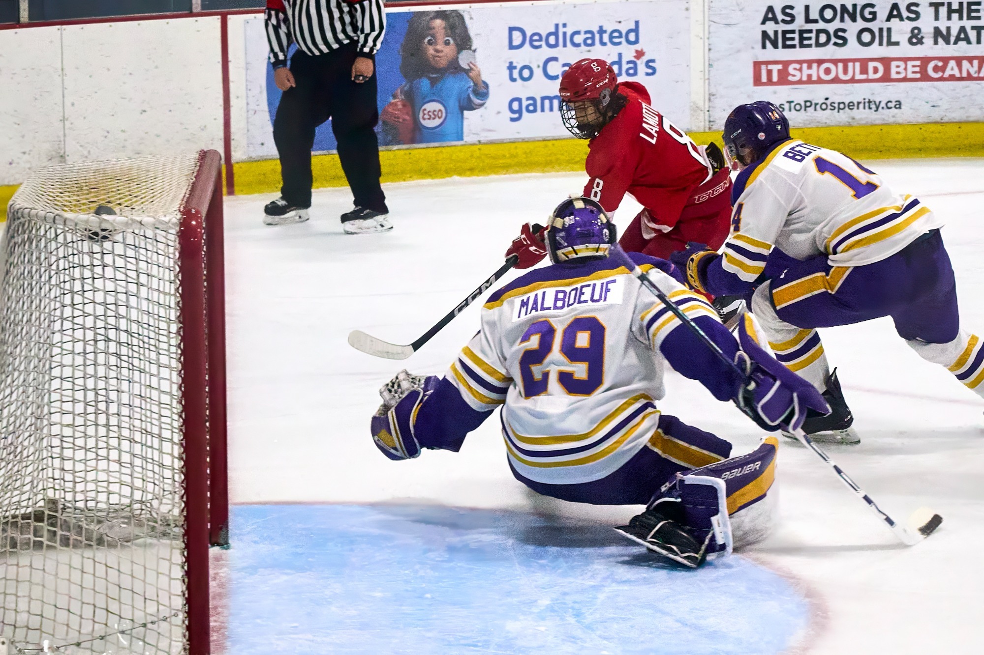 York University Lions men's hockey vs. Laurier – Nov. 15, 2025