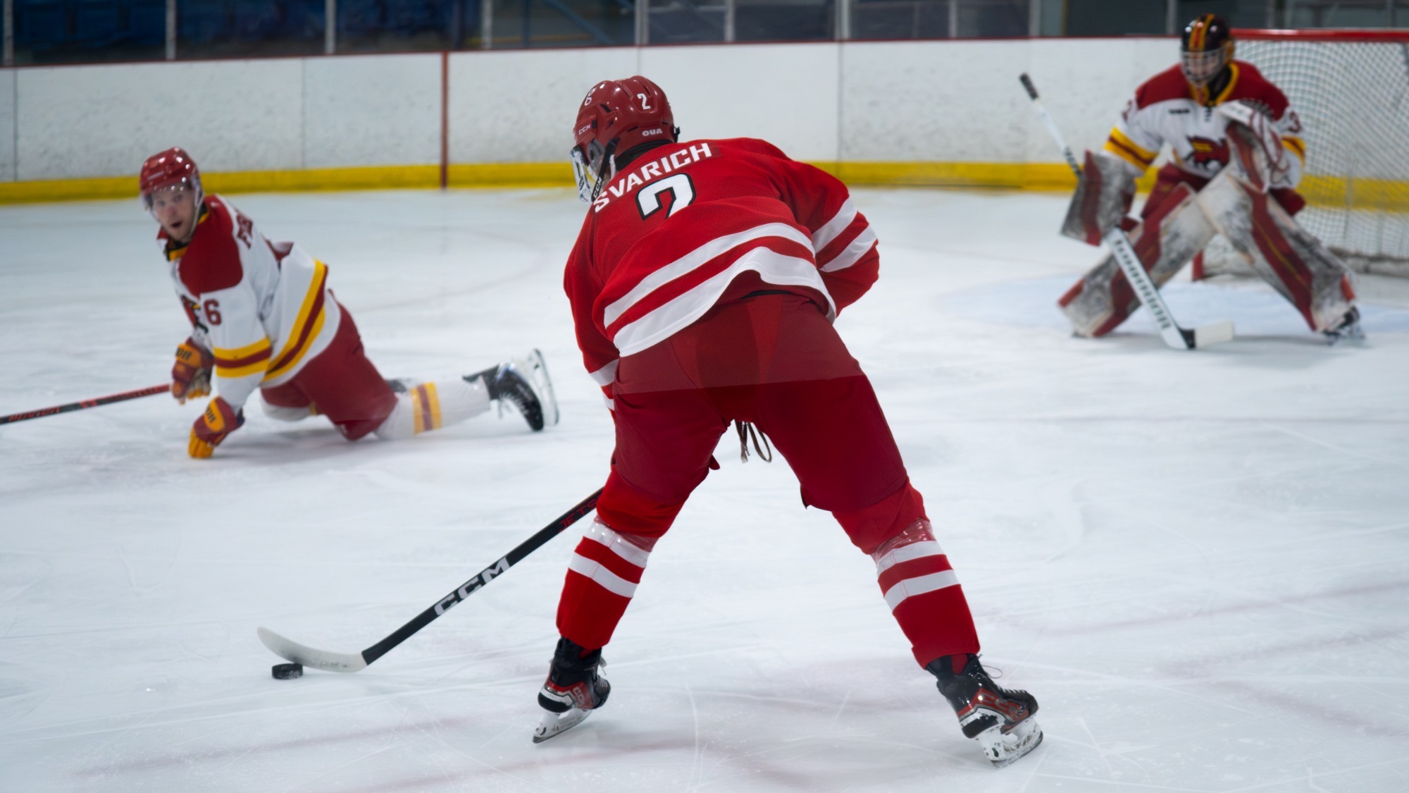 The York University men’s hockey team went head-to-head with the Guelph Gryphons on Saturday evening at Canlaan Ice Sports