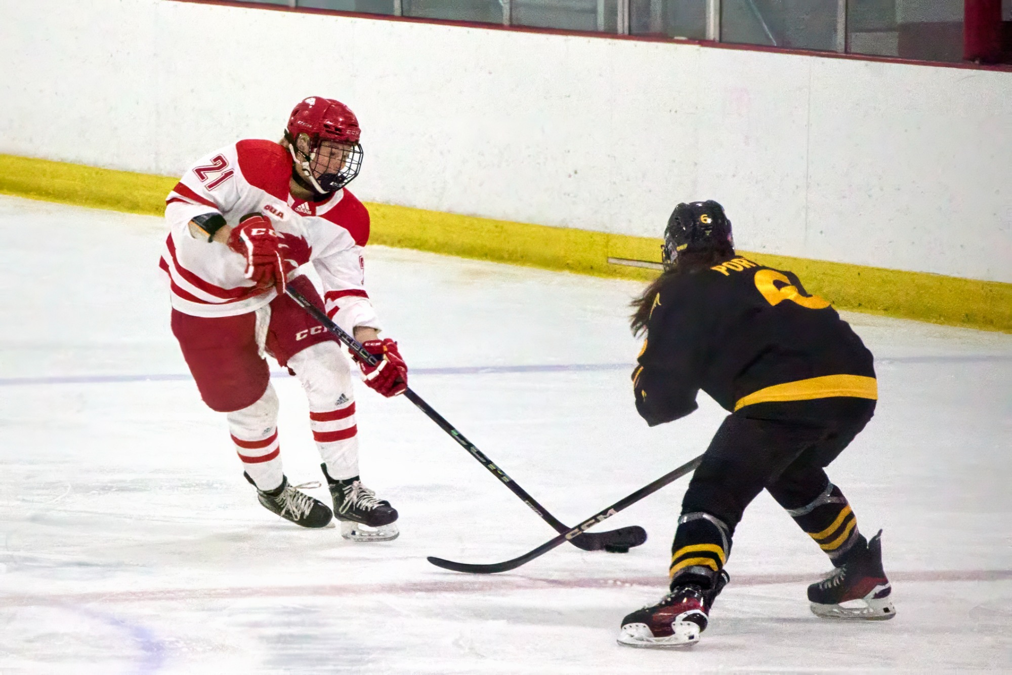 Playing the third of a five-game road trip to close out the 2025-26 season, the York University Lions women’s hockey team landed in Waterloo Saturday afternoon