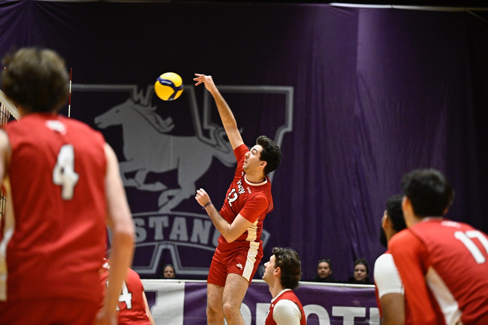 The York University Lions men’s volleyball team continued their regular-season-ending set with a highly-anticipated rematch against the Western Mustangs on Super Bowl Sunday