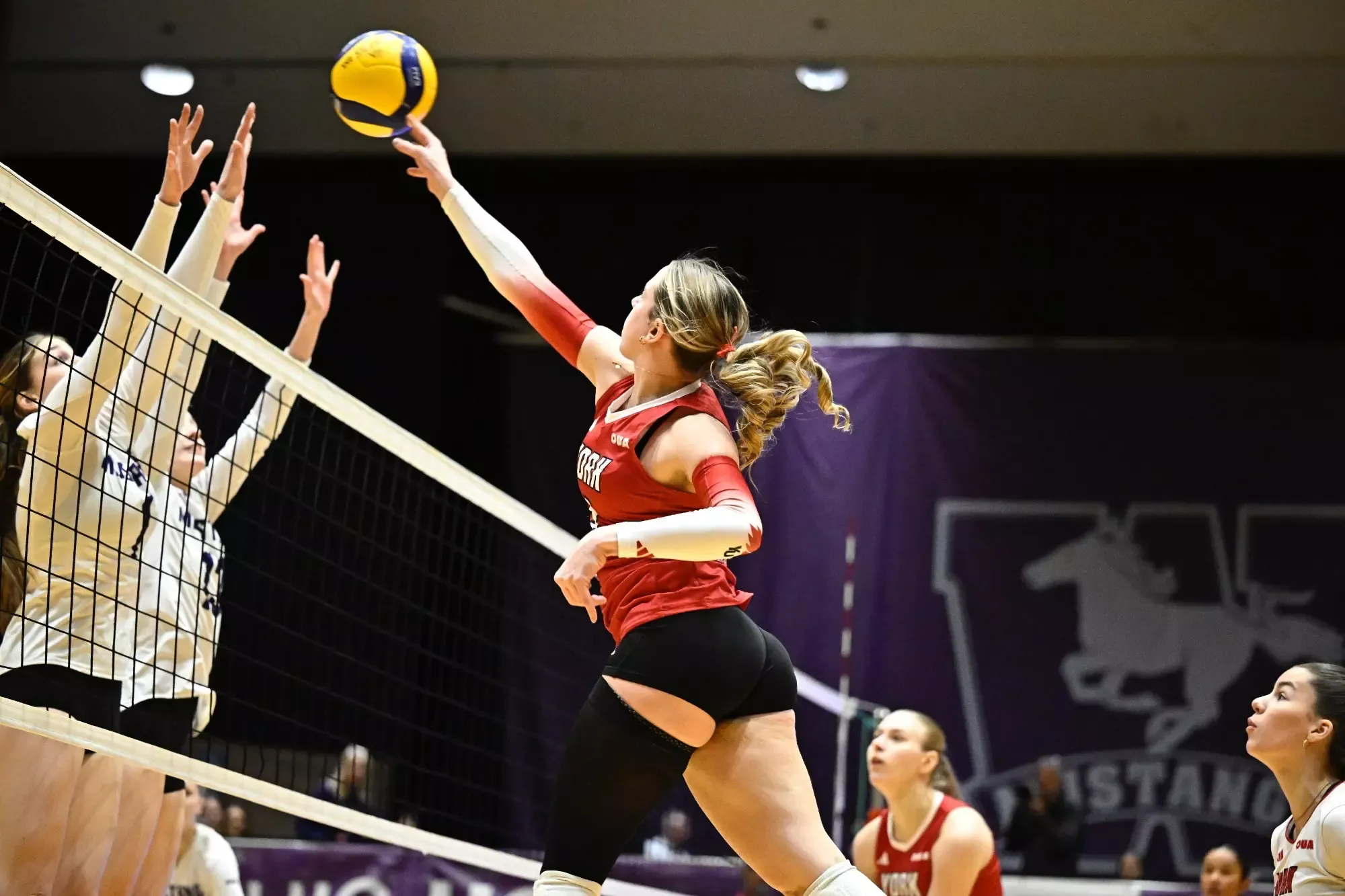 The York University Lions women’s volleyball team travelled back to London for a rematch against the Western Mustangs on Sunday afternoon