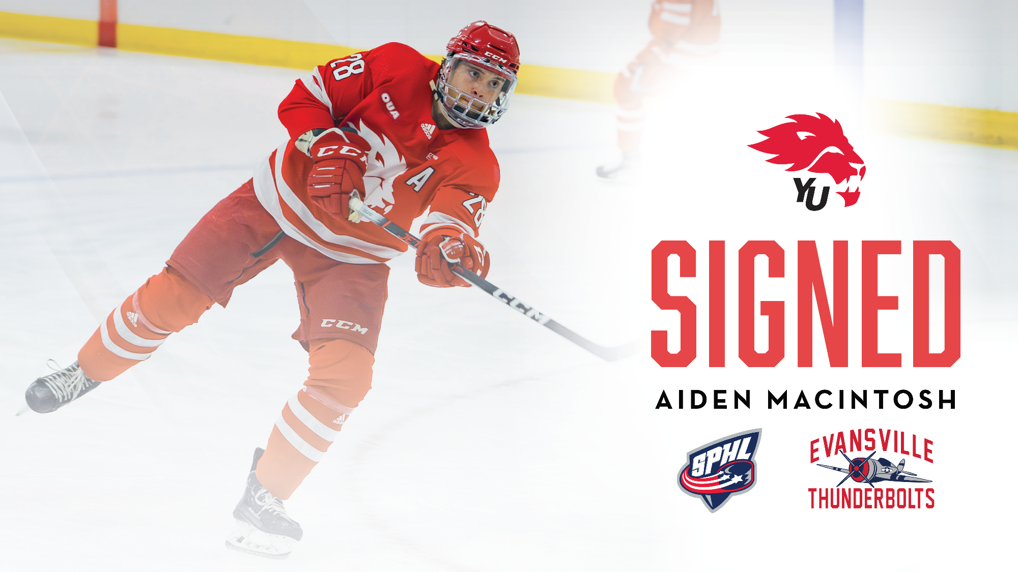 York University Lions men’s hockey alumnus Aiden MacIntosh is the latest Lion to make a foray into the professional ranks.