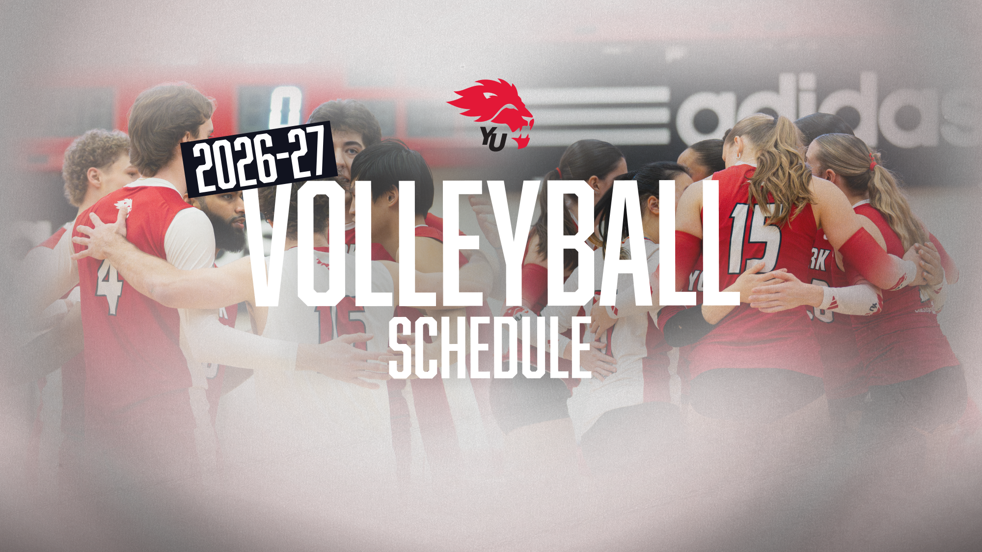 The York University Lions men’s and women’s volleyball teams will visit the Guelph Gryphons to begin the 2026-27 season