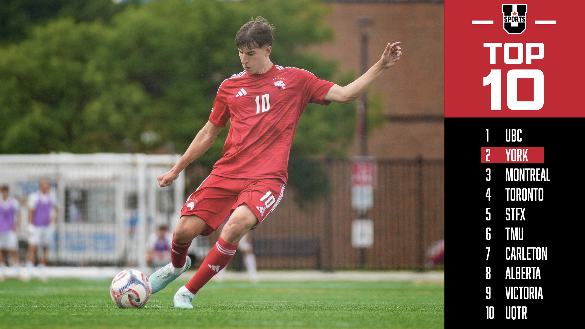 The York University Lions men's soccer team is back atop the U SPORTS totem pole