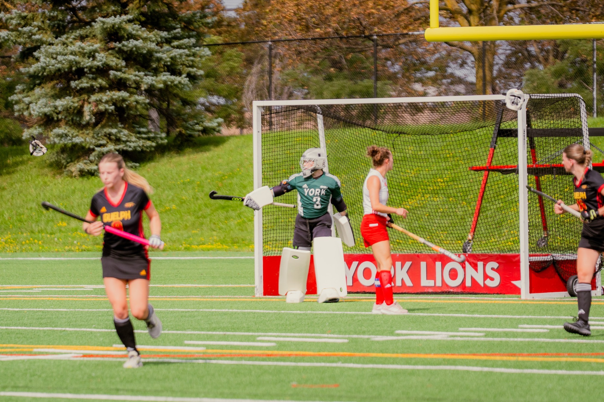 The York University Lions field hockey team took on the Guelph Gryphons for the second and final time this season on Thursday night in the Royal City