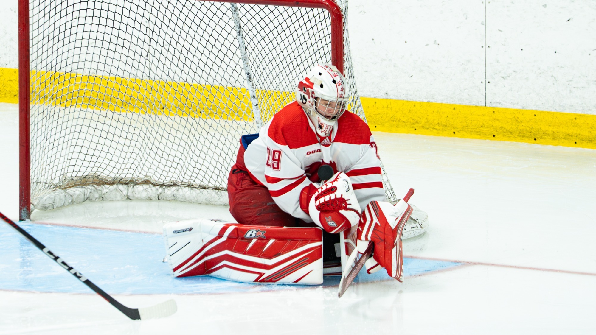 York University Lions women's hockey goaltender Emma Wedgewood is the latest Lion to be selected to the Creating Coaches program