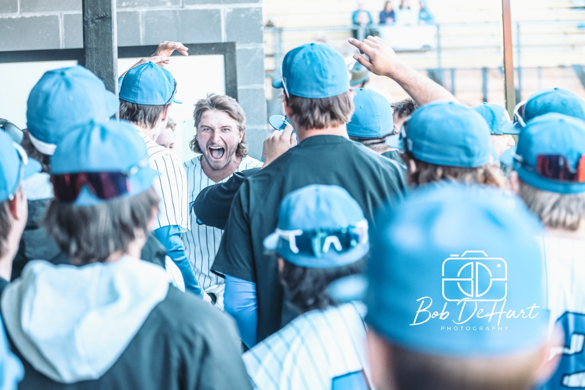 Heck celebrates home run against McPherson