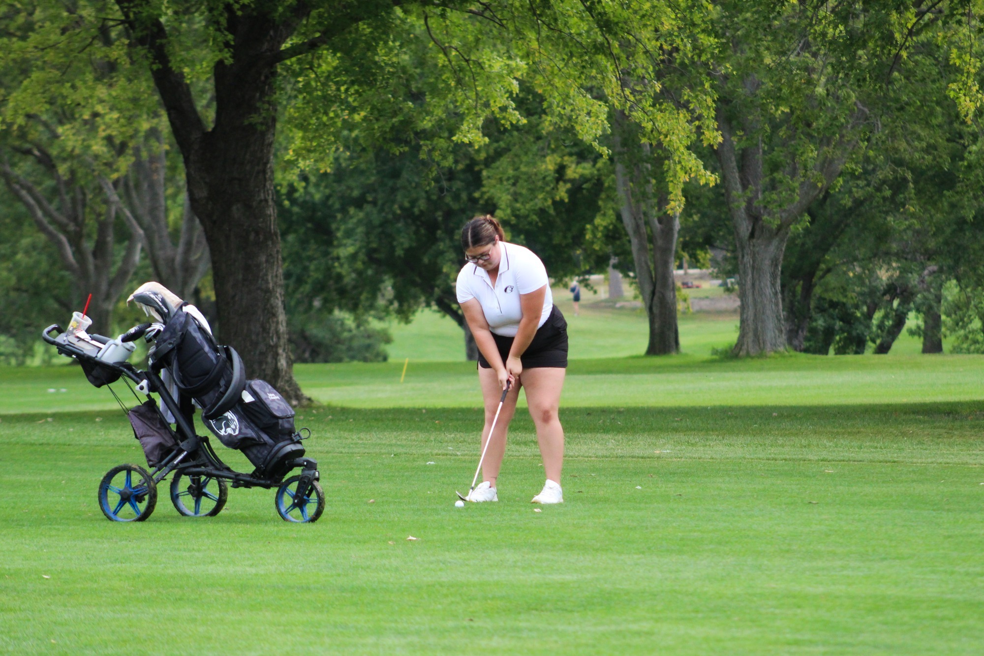 Fernandez hits approach shot