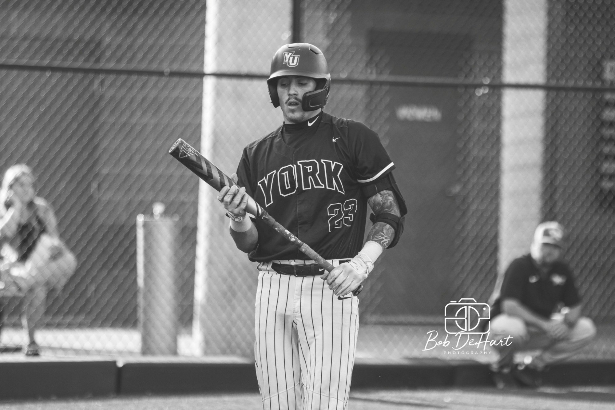 Hodoly gets ready to bat