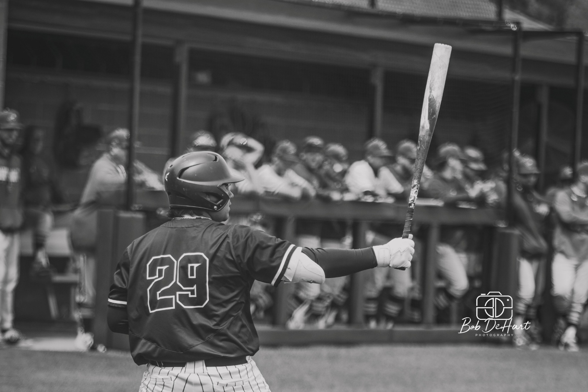 Arellano up to bat in home finale