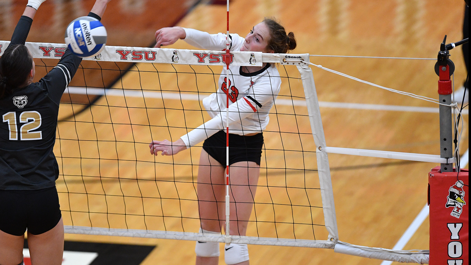 Abbie Householder 2024 Volleyball Youngstown State University