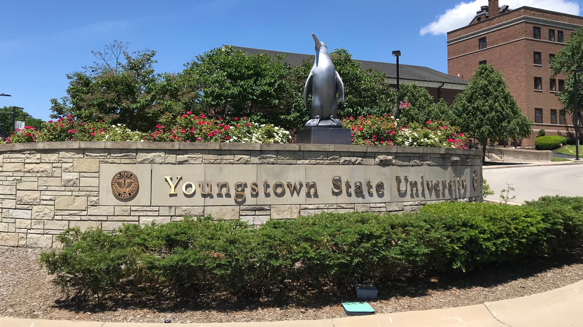 YSU Campus