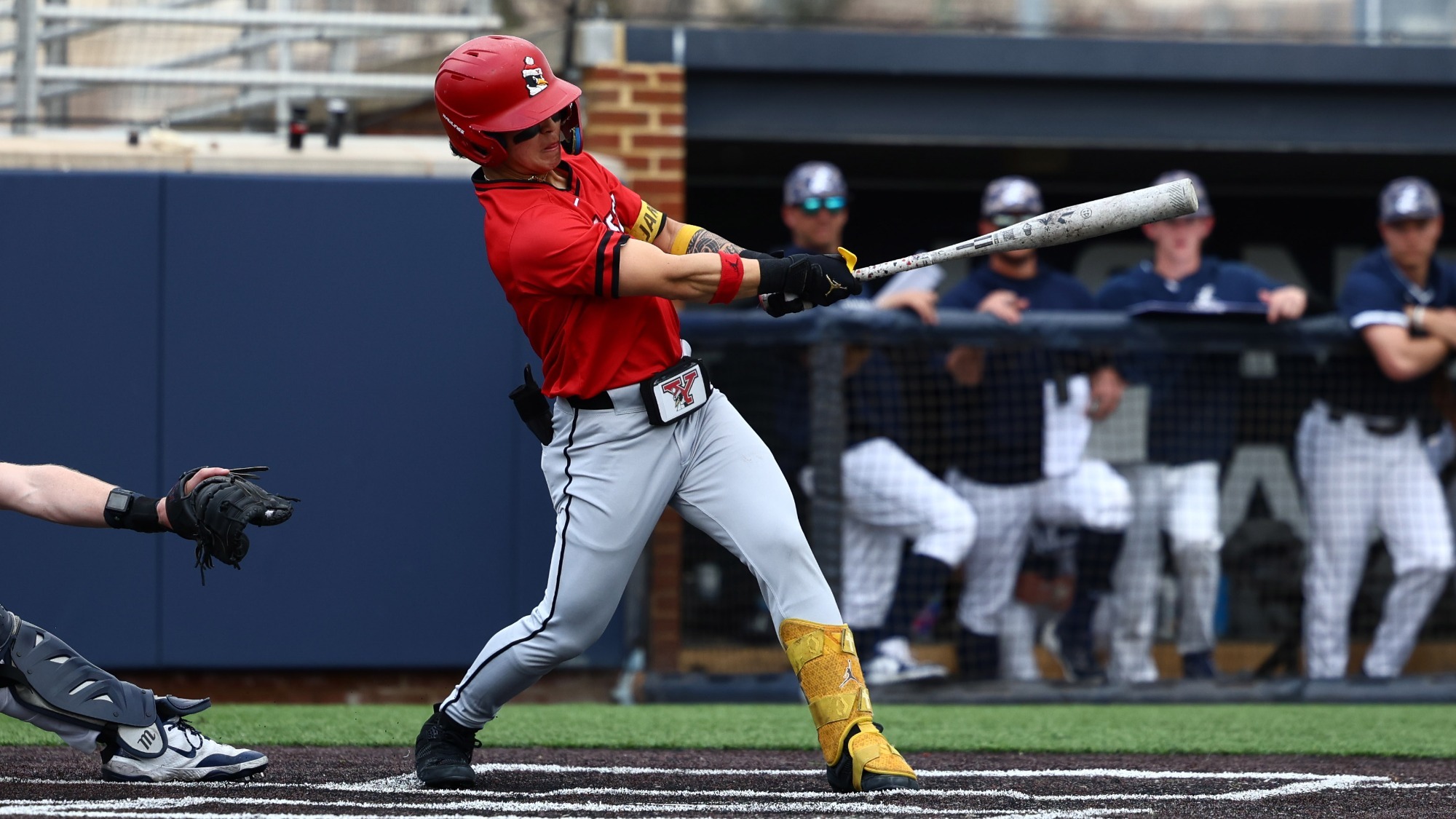 Alex Jang hits a pitch for YSU during a baseball game at Longwood on March 1, 2026 (Photo by Bryson Chavez)