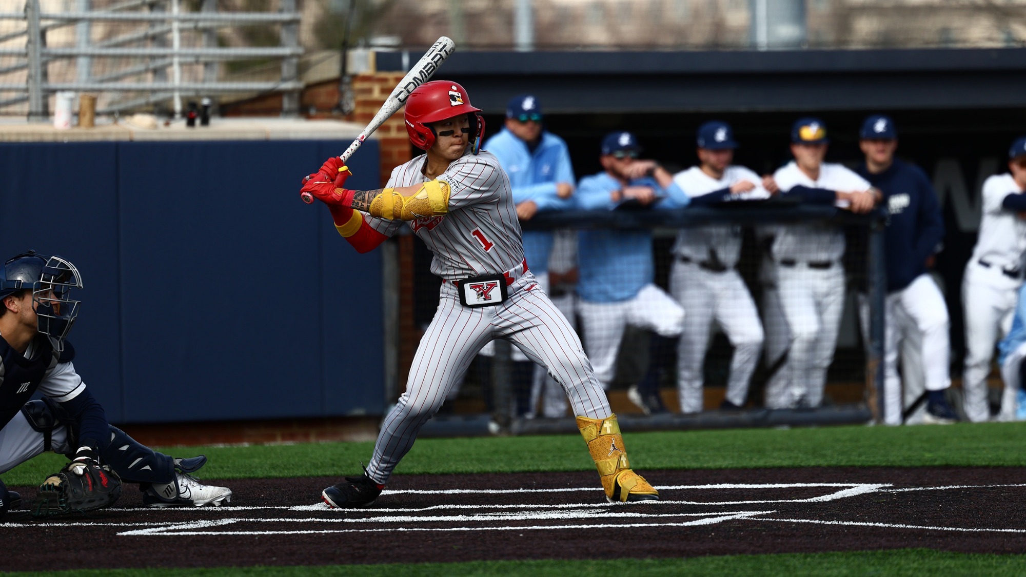 Alex Jang swings a baseball bat
