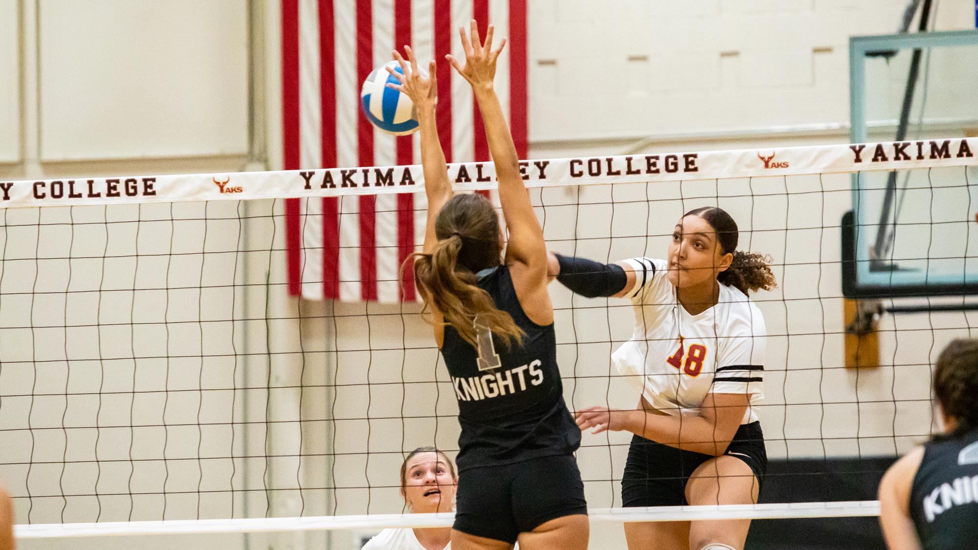 Jacynta MylesGilford Volleyball Yakima Valley College Athletics