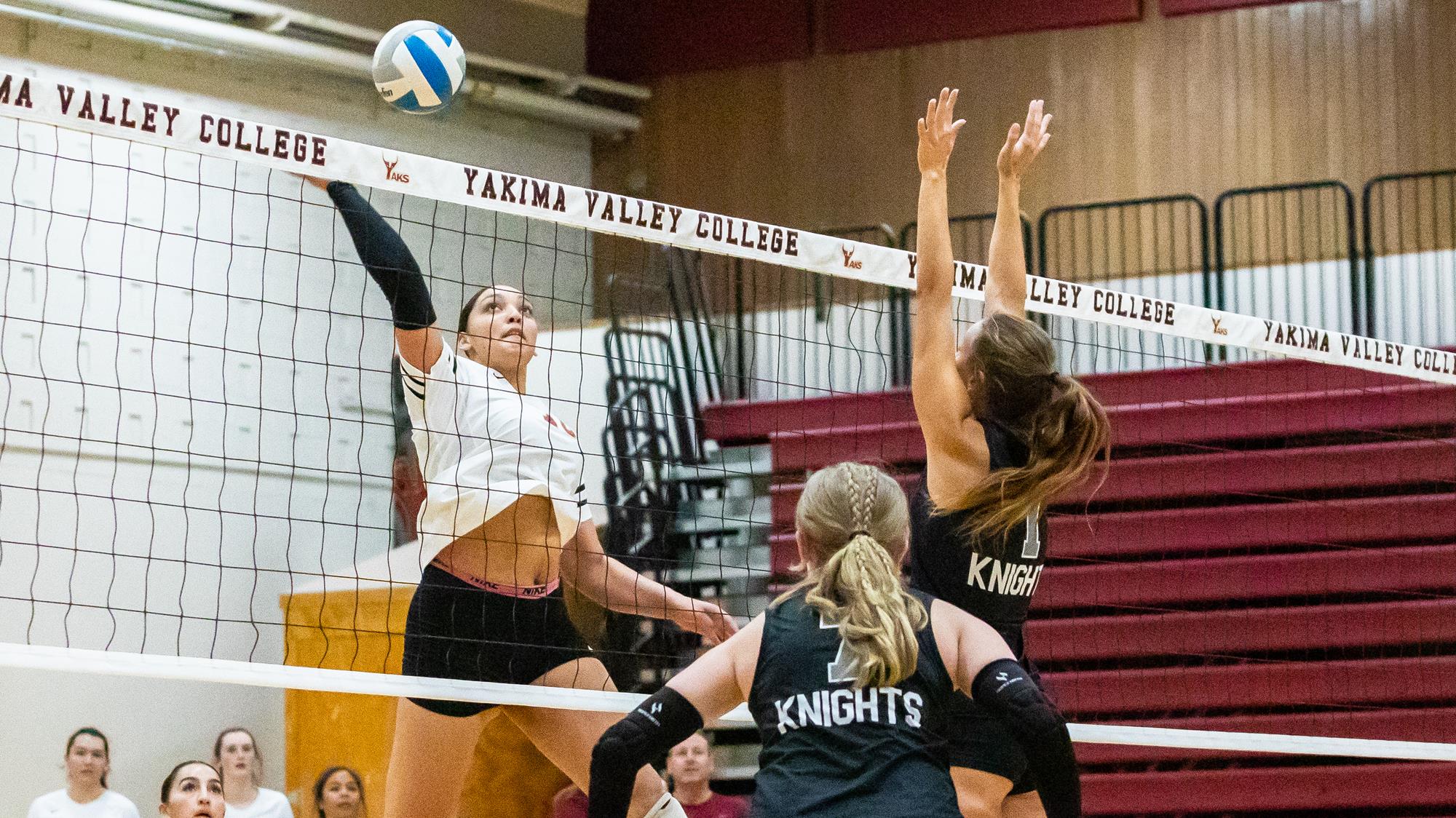 Jacynta MylesGilford Volleyball Yakima Valley College Athletics