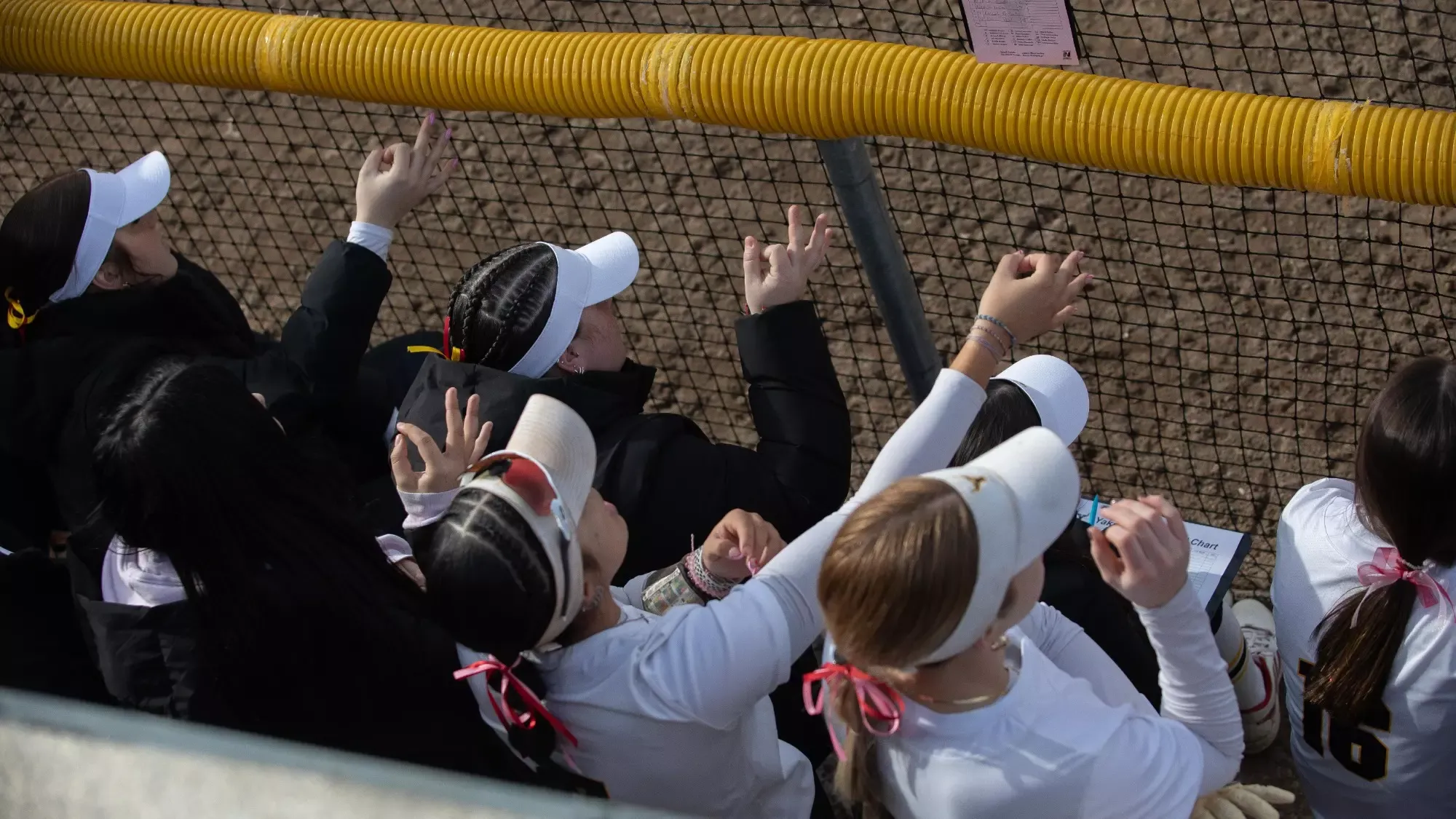 Softball team cheers from bench